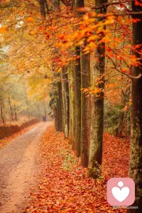 這個世界上最虧本的事情，就是為尚末發生的事情擔憂，為自己想象的結果而焦慮精神內耗的人，總是活得很擰巴。因為害怕自己本非美玉，又不肯庸庸碌碌，與瓦礫為伍。于是我漸漸地脫離凡塵，疏遠世人，結果便是一任憤懣與差恨日益助長內心那怯弱的自尊心。配圖