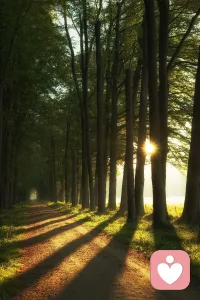 我們在意什么，就會被什么控制。每一個用于后悔過去、擔憂未來，比較今天的時刻，都會成為停止成長、生命倒退的時刻。也會使我們失去覺察、醒悟、創建自己生命的時機。配圖