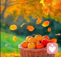 《人生感悟》：人必須出門，必須社交，必須體驗不同的事物，見各種各樣的人，才能感覺到自己是活著的配圖