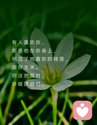 有人喜歡你，
那是他在你身上，
照見了他喜歡的特質，
跟你無關。
你淡然面對，
并做回自己。

有人討厭你，
那是他在你身上，
投射到他排斥的自己，
跟你無關。
你坦然面對，
并做好自己。

有人欣賞你，
那是他透過你，
碰撞了內在的自己，
跟你無關。
你欣然面對，
并平靜做自己。

世界上沒有無緣無故的，
相遇或離開，
愛或怨恨，
都只是，
遇見了自己。配圖