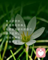 有人喜歡你，
那是他在你身上，
照見了他喜歡的特質，
跟你無關。
你淡然面對，
并做回自己。

有人討厭你，
那是他在你身上，
投射到他排斥的自己，
跟你無關。
你坦然面對，
并做好自己。

有人欣賞你，
那是他透過你，
碰撞了內在的自己，
跟你無關。
你欣然面對，
并平靜做自己。

世界上沒有無緣無故的，
相遇或離開，
愛或怨恨，
都只是，
遇見了自己。配圖