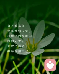 有人喜歡你，
那是他在你身上，
照見了他喜歡的特質，
跟你無關。
你淡然面對，
并做回自己。

有人討厭你，
那是他在你身上，
投射到他排斥的自己，
跟你無關。
你坦然面對，
并做好自己。

有人欣賞你，
那是他透過你，
碰撞了內在的自己，
跟你無關。
你欣然面對，
并平靜做自己。

世界上沒有無緣無故的，
相遇或離開，
愛或怨恨，
都只是，
遇見了自己。配圖