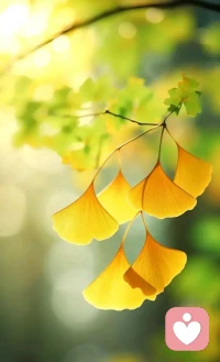 這是一個微妙的真理：你喜愛什么，你就是什么。配圖