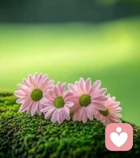 美好的日子不會憑空而降，你應該走向它們配圖