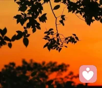 你感受到的痛苦是信使，
傾聽他們帶來的信息。配圖