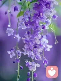 把自己活成一道光因為你不知道誰會借著你的光走出了黑暗
請保持心中的善良因為你不知道誰會借著你的善良走出了絕望
請保持你心中的信仰因為你不知道誰會借著你的信仰走出了迷茫
請相信自己的力量因為你不知道誰會因為相信你開始相信了自己……
愿我們每個人都能活成一束光綻放著所有美好配圖