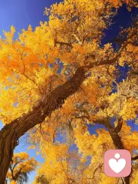 不是從孩子身上看到了希望你才相信孩子而是你相信了孩子你才能有希望
不是孩子有了責任你才放手而是你放手了孩子才有責任
不是孩子聽話了你才尊重孩子而是你尊重孩子了孩子才聽話
不是孩子長大了你才信任孩子而是你信任孩子了孩子才能長大
不是孩子優秀了你才接納孩子而是你接納孩子了孩子才優秀
不是孩子幸福了你才幸福而是你幸福了孩子才能獲得幸福
不是孩子可愛了你才愛孩子而是你愛孩子了孩子才顯得可愛
愛是一切如是愛是讓我身邊的人按照他自己喜歡的方式去生活愛是深深的理解與接納
我要努力成為愛本身愛自己愛家人愛身邊的每一個人配圖