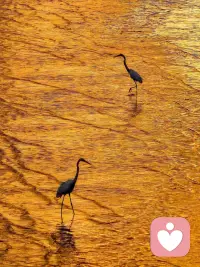 “對于河水來說，只存在在當前，既沒有過去的影子，也沒有未來的影子。”配圖
