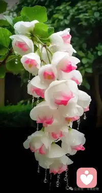 如果愛不能喚醒你

那么，生命就用痛苦來喚醒你

如果痛苦不能喚醒你

那么，生命就用更大的痛苦來喚醒你

如果更大的痛苦不能喚醒你

那么，生命就用失去喚醒你

如果失去不能喚醒你

那么，生命就用更大的失去喚醒你

包括生命本身



——海靈格配圖