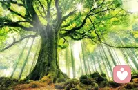 當每一個屬于家庭系統的人在你心中都有一個位置時，一種圓滿的感覺便會涌現。配圖