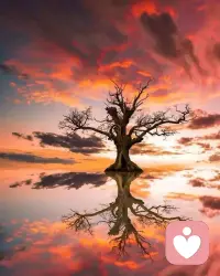 我無時無刻都在證明自己。
考高分，是為了證明自己能成為父母的驕傲。
搞事業，是為了證明自己不比別人差。
結婚，是為了能嫁個好人家。
減肥，是為了證明自己很好看。
甚至跟人吵架，都要吵贏，就是為了證明自己的想法才是對的。
細數一下過去，無論干啥都是為了證明自己。
有時候不被人理解，還會暗自下定決心：你給我等著吧，我早晚會證明自己。
現在想想特好笑。
誰會真的在意你是個什么樣的人？
即使證明了自己，取得了你想要的成功，那些曾經嘲笑你的人也不會對你改觀。配圖