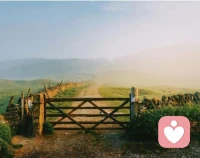 你想要得到誰的認可，就會成為誰的奴隸！只要你擔心別人怎么看你，那么別人就能奴役你！配圖