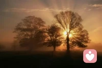 傷口是光進入你內心的地方。配圖