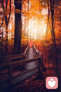 如果能了解自己在日常生活中所有愚鈍的表現——如何對待鄰居、窮人或富人，等等——那么這份覺知就會破解我們的愚鈍。配圖