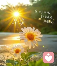 離我們最近的地方，路程卻最遙遠(yuǎn)。我們最謙卑時，才最接近偉大。配圖