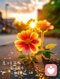 不要太在乎別人對你的評價，
做好自己個人，
干好自己的事，
走好自己的路。
活在別人眼里，是世上最可悲的一件事。配圖