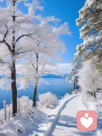 .如果一個人最初被他親近的人傷害過，那么他傷害別人就是他想親近一個人的表現(xiàn)。只有不清晰的才是最準(zhǔn)確的。配圖