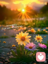 人的潛意識總是先做出決定，而意識是后知后覺的。人與人的關系怎么做都是對的，沒有標準，只要和諧、舒服就是對的。所以，不要讓標準束縛了你的心。配圖