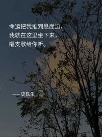 “孤独不是没有人陪伴，而是无法与自己和解。”配图