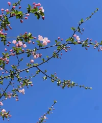 女神節來啦，祝?各位女神節日快樂配圖