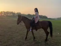 情緒低落的時候就去外面走一走，看場落日余暉，和江河湖海交談，與日月星辰對話，去看一條魚怎么游動，去觀察一朵花怎樣綻放….
走出去吧、大自然會治愈你的憂傷~配圖