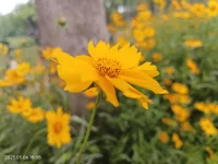 “看見孩子的真實感受”對每個家庭都有幫助，但幫助的效果有所不同，其差異在于家長是否可以在看見孩子真實感受的過程中，自己也體會到真誠的輕松和愉悅。配圖