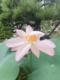 心情郁结时，出门看看风景，慢慢心情就会好转配图