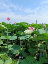 “甲之蜜糖，乙之砒霜”。
愛是給予對方所需，而不是給自己所想。配圖