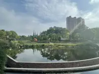 沒有工作后，一開始會焦慮。
慢慢地，心就隨之慢下來了，雖然還沒有完全放松。
我想試試，完全放平心態是怎么樣的心境。
我沒有擺爛，只是沒有上班而已。
每天閱讀一本書、寫寫東西、完成預約的原有單，不新增。
前幾天都下雨，今日放晴了，公園曬曬太陽，很舒服。配圖
