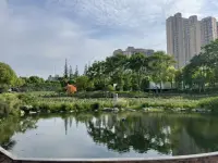 沒有工作后，一開始會焦慮。
慢慢地，心就隨之慢下來了，雖然還沒有完全放松。
我想試試，完全放平心態是怎么樣的心境。
我沒有擺爛，只是沒有上班而已。
每天閱讀一本書、寫寫東西、完成預約的原有單，不新增。
前幾天都下雨，今日放晴了，公園曬曬太陽，很舒服。配圖