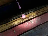 在這個傾訴的平臺上
我們可能會發生不同的遇見
很多話也許你無處傾訴表達
語晨在這里
希望是那束照亮你的光配圖
