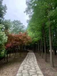 一次，聽了臺灣心理心理督導師楊明磊的督導課，挺有感觸。他問:你們喜歡什么樣的來訪者？有人說:積極、配合的；有人說:愿意反思，舉一反三的；有人說:友好，善意的……他又說:如果來訪者是積極的，樂觀主動，善于反思舉一反三的，你覺得他會把自己陷入困境，來做咨詢么？……全場默然配圖