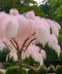 生活，從簡單開始，向著美好出發；人生，從容淡定面對，美好如期而至。配圖