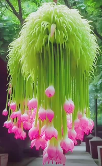 向日葵告訴我，只要面對著陽光，努力向上，日子就會變得單純而美好～配圖