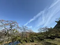 著名詩人臧克家曾言：
“有的人活著，他已經死了，
有的人死了，他還活著。”

人活著，
不只是茍延殘喘，
不只是渾噩度日，
更重要的是自律和拼搏的意義，
讓自己更優秀，更通透，
守護好家人，讓自己盡情發光。