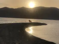 愚蠢的一致是許多狹隘心智作怪的結(jié)果配圖