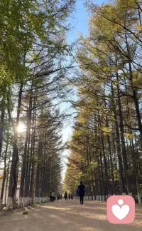 當你的性能量得以舒展開來，并向上伸展的時候，你的整個身體都會成為愛的工具，而這也是它原本該有的身份配圖