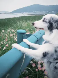 如果不謹慎地生活就不會有快樂的生活，沒有快樂的生活，便也不會有體面和正直的生活！配圖