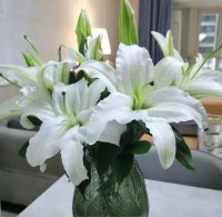 祝愿全天下妈妈
都能被岁月温柔以待[合十][合十][合十]
永远幸福，健康常伴[合十][合十][合十] 
我爱您妈妈！配图