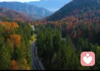 弗洛伊德曾提起過一個案例，“黑夜搶走了我的包”。受害人只看到了黑夜，沒有看到兇手，所以說黑夜搶走了我的包。

心理問題都有這樣的共性：事情發生在眼前，而原因卻追隨到過去。

現在的我們從過去走來，未來的我們從現在走過。
往事不可追，未來莫能測，唯有把握當下！配圖