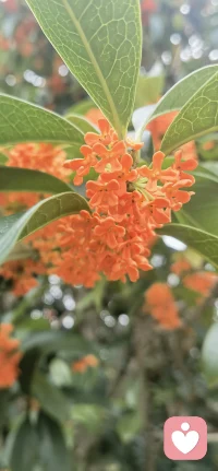 其實孩子不需要你家長那么做牛做馬的付出，特別是帶著自我犧牲感的付出。 不僅不需要，而且還會有心理負罪感。

孩子希望的是看到你快樂，然后盡基本責任地照顧，家長引導和教育孩子發展獨立人格，找到適合自己?的生存方式，特別要在精神和心理方面的教導和溝通上下功夫。 

最好的教育是，家長向孩子展現自己快樂生活?的能力。配圖