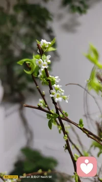 我們都曾受過傷，卻有了更好的人生。因為這些傷害滋養了我們。配圖