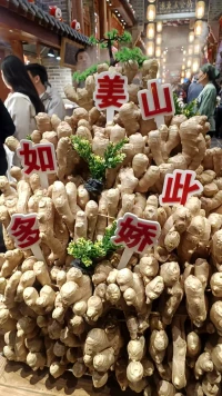 給孩子做學業輔導時，孩子說：“老師，我不接受自己的成績排名”，而且，老師總考試，每次都排名。我每天都這樣的焦慮擔心。

而且孩子也出現了“以生病”為由不去學校躲避考試，害怕考不好排名榜是倒數…

我想跟家長說：
我們改變不了現狀，就只能改變我們自己的應對方式。

運用沈健教授的“揀蘋果”和“投籃球” 來給孩子減壓，我們要鼓勵孩子們只往自己筐里撿蘋果，揀一個就多一個，只往自己的藍球網里投球，投進一個就多一個，不去看別人。無論你揀回多少蘋果，投進去多少個藍球，你都是我們家的好孩子，能考上什么學校就上什么學校，不去比較、不去攀比。

家長要多鼓勵孩子，要穩住自己、接住孩子。配圖