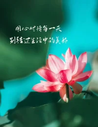 用心对待每一天，别错过生活中的美好！配图
