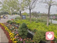 喜歡的事，
一定要即刻開始，
受益的事，
一定要長期堅持。

關于生活，
你可以精致著過，
也可以粗糙著過。
但，別將就！
因為，你值得擁有更好的一切。

晚安，加油！配圖