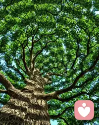 讀書的意義:
1.只讀到初中，打交道的人多是鄉鎮縣里的街坊鄰居， 同村親友。
2.讀到高中，有機會去市區參加活動。
3.考上大學就不一樣了，班里同學來自天南海北，和國外交換生交流，你的圈子一下從小地方擴展到了全國，甚至觸碰到全世界信息。
4.你努力讀書，其實就是讓你自已變得更值錢，從而讓你走出自已的源生圈子，去接觸那些更有價值的人，而這些人之所以愿意接近你，是因為你有足夠價值。
5.讀書是改變人生，改變圈層的最好捷徑，你現在多翻一頁書， 將來就少求一次人，現在多吃點讀書苦，將來就能給家人多一份保障。配圖