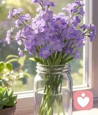 小雪節(jié)氣?要注重養(yǎng)腎和藏精

1?? 養(yǎng)腎：
食用溫性食物如羊肉、牛肉、雞肉、腰果、芡實(shí)、山藥等，
具有補(bǔ)腎益精、溫陽(yáng)驅(qū)寒的作用
同時(shí)，可以按摩太溪穴和復(fù)溜穴來(lái)促進(jìn)腎氣的調(diào)養(yǎng)。

2?? 藏精：
順應(yīng)自然規(guī)律，保持早睡晚起，以利于陽(yáng)氣潛藏和陰精積蓄。

3?? 情緒穩(wěn)定：
避免情緒波動(dòng)，做到心平氣靜，有助于精神內(nèi)守。

愿你被溫暖包裹，日子順心不慌！配圖