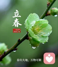 今日立春，万物含新意。
一候东风解冻，
二候蛰虫始振，
三候鱼陟负冰。
新的轮回已然开启，
愿你我共迎春暖花开。配图
