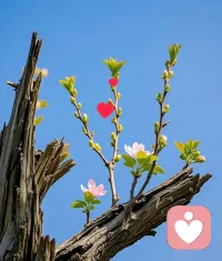 今天三八节，愿你眼里有光， 心中有爱，不慌不忙，自带光芒。

女神节快乐！
[玫瑰][玫瑰][玫瑰][烟花][烟花][烟花]配图