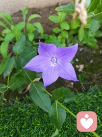 一个人的命运应该始终掌握在自己手中， 
无论山高地远，无论暴雨狂风。